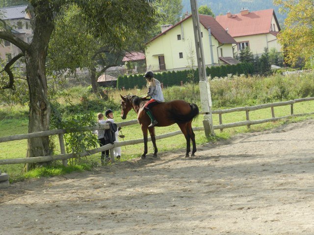 Babie Lato 2016